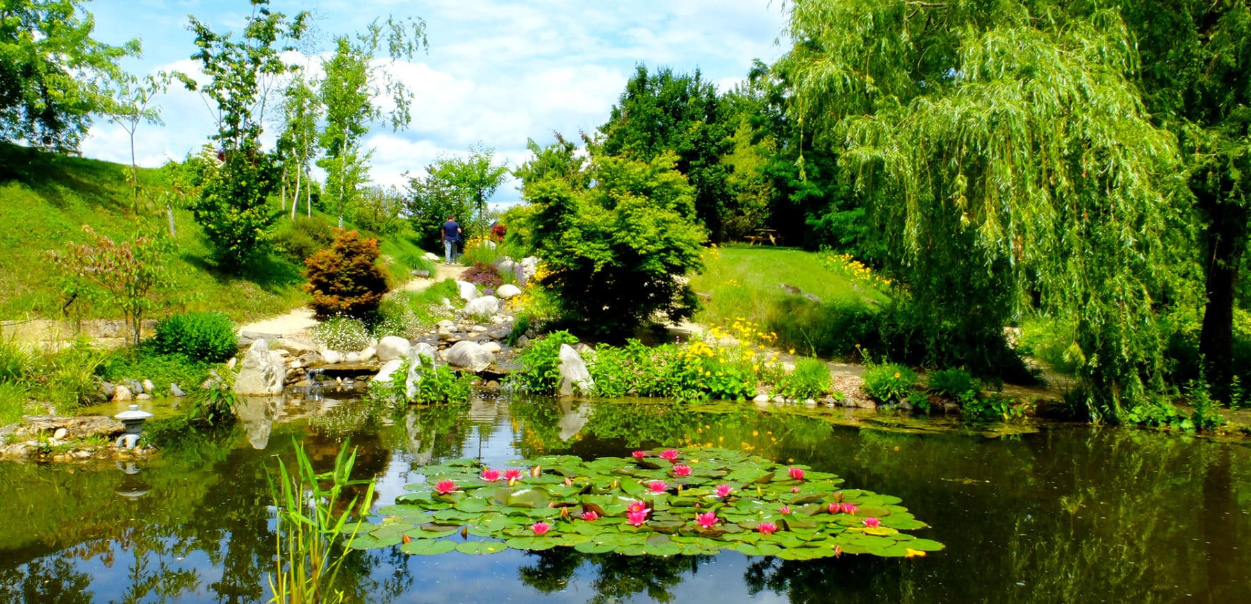 jardin eau