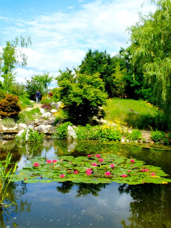 jardin eau