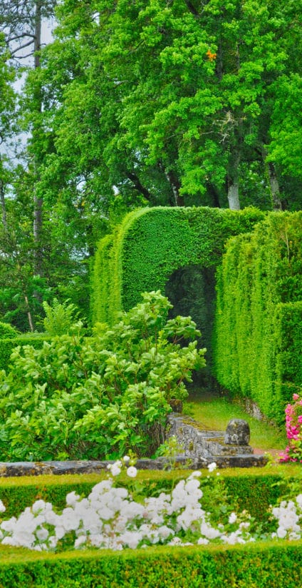 jardins marqueyssac 3