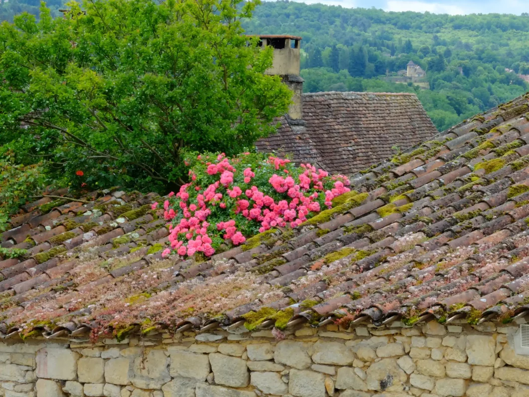 Le village de Carsac-Aillac, dans le Périgord Noir, offre un cadre naturel entre les rives de la rivière Dordogne et les falaises calcaires