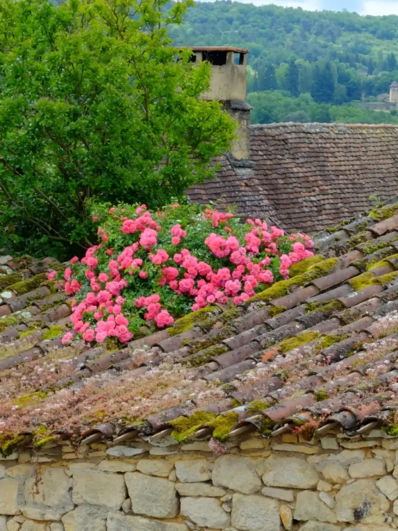 Le village de Carsac-Aillac, dans le Périgord Noir, offre un cadre naturel entre les rives de la rivière Dordogne et les falaises calcaires