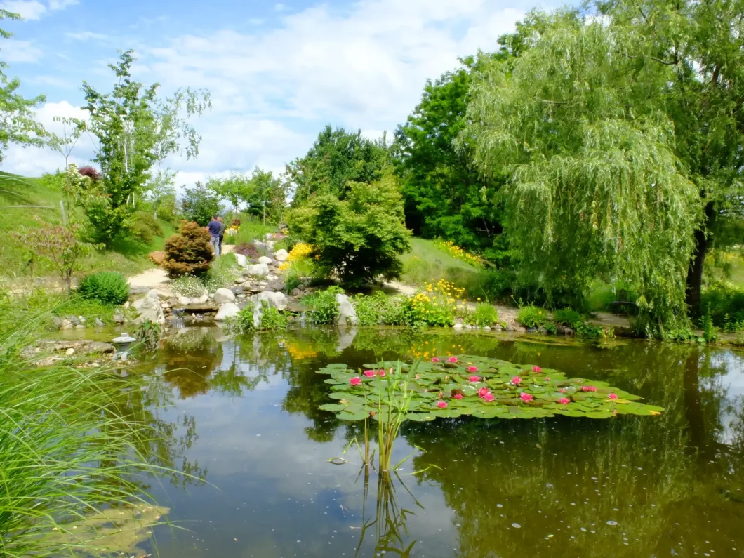Les Jardins d'Eau de Carsac, un site remarquable dans le Périgord Noir dédié aux plantes aquatiques